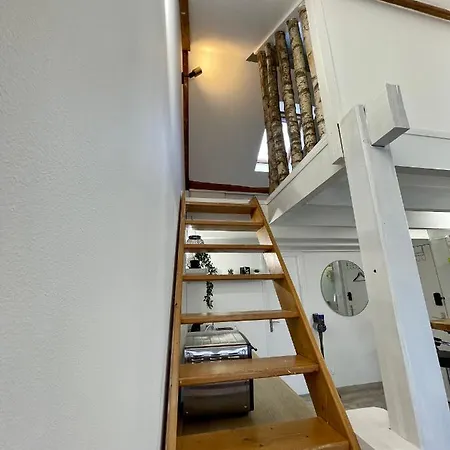 Le Salmanazar Apartment *