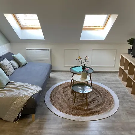 Le Salmanazar Apartment Dijon